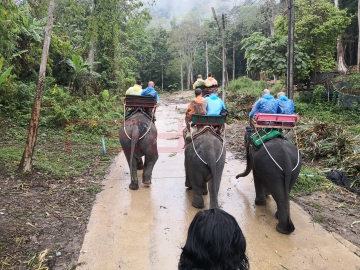 549-tayland-phuket-turu.jpg